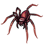 Living Spider