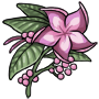 Purple Pinwheel Flower