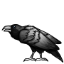 Achromatic Raven