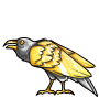 Gold Raven