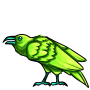 Lime Raven
