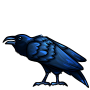 Natural Raven
