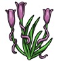 Purple Winding Flower