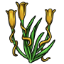 Yellow Winding Flower