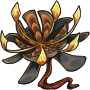 Ardur Lava Lily Flower