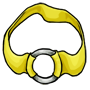 Lemon Ring Belt