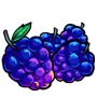 Relcore Berries