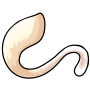 Albino Chimby Tail