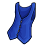 Blue Vest