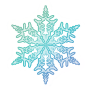 Everlasting Frozen Snowflake