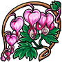 Bleeding Heart Flowers