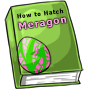 How to Hatch a Meragon Egg