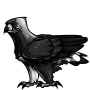 Achromatic Hawk