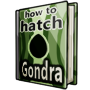 How to Hatch a Gondra Egg