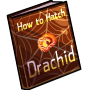 How to Hatch a Drachid Egg
