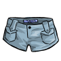 Medium Denim Shorts
