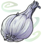 Silver Garlic