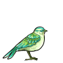 Lime Sparrow