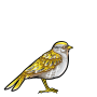 Gold Sparrow