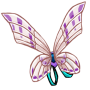 Orchid Vaspi Wings