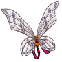 Amber Vaspi Wings