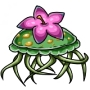 Flower Jelly Fish