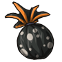 Chocolate Myotis Egg