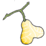 Strange Yellow Fruit