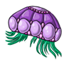 Sugar Jellyfish