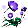 Glowing Purple Flower