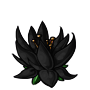 Black Water Flower