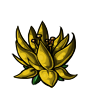 Yellow Water Flower